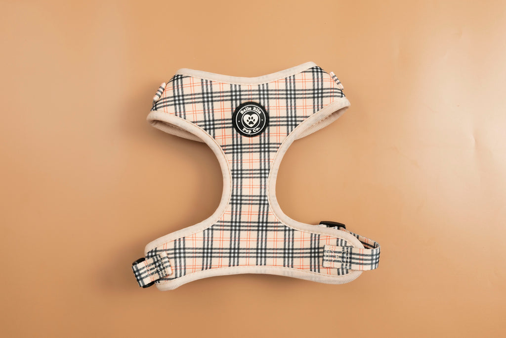 Harness - Plaid