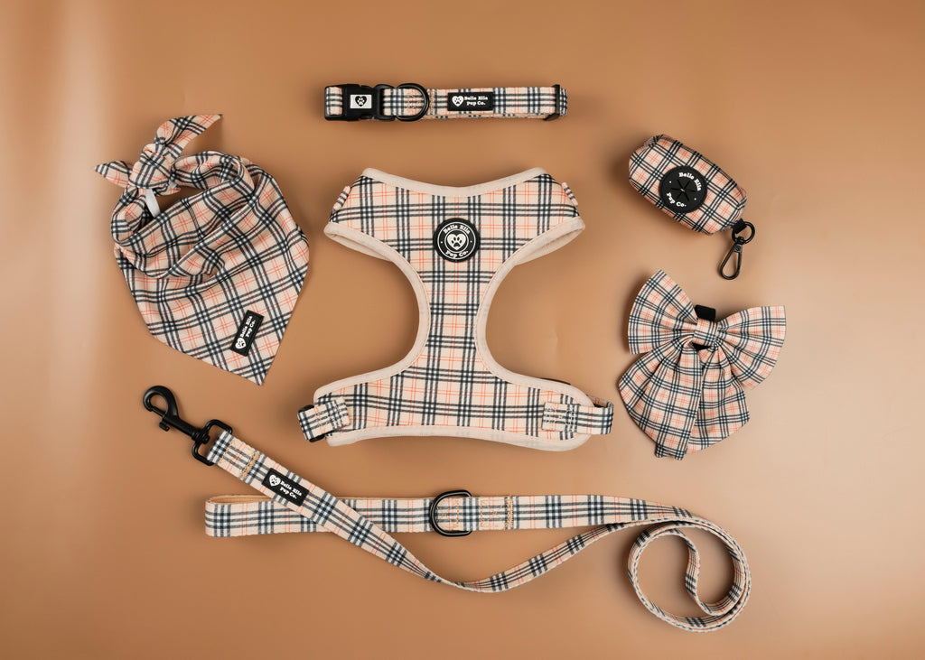5 pcs. Harness Set - Plaid
