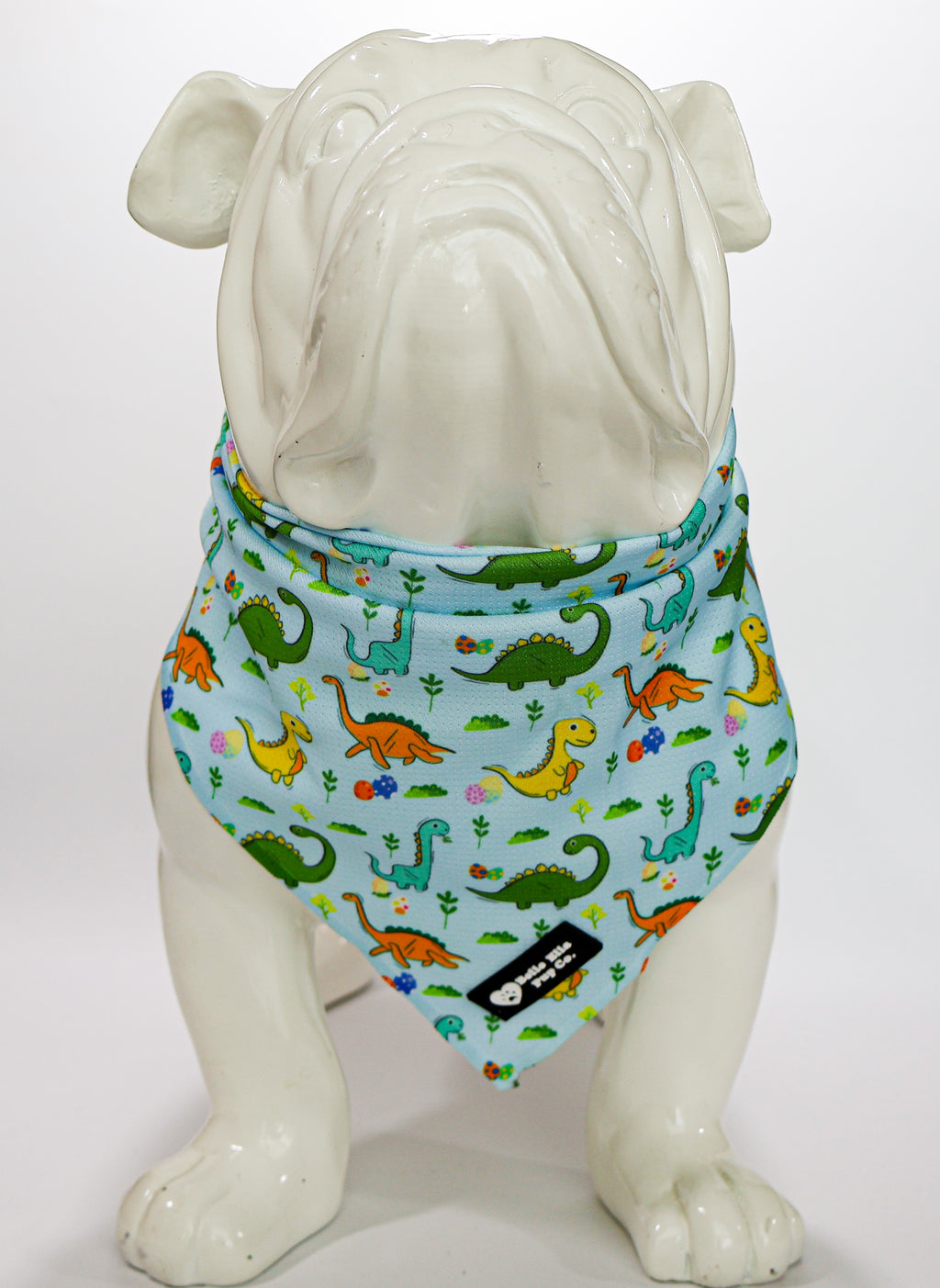 Cool Down Bandanas - Dinosaurs