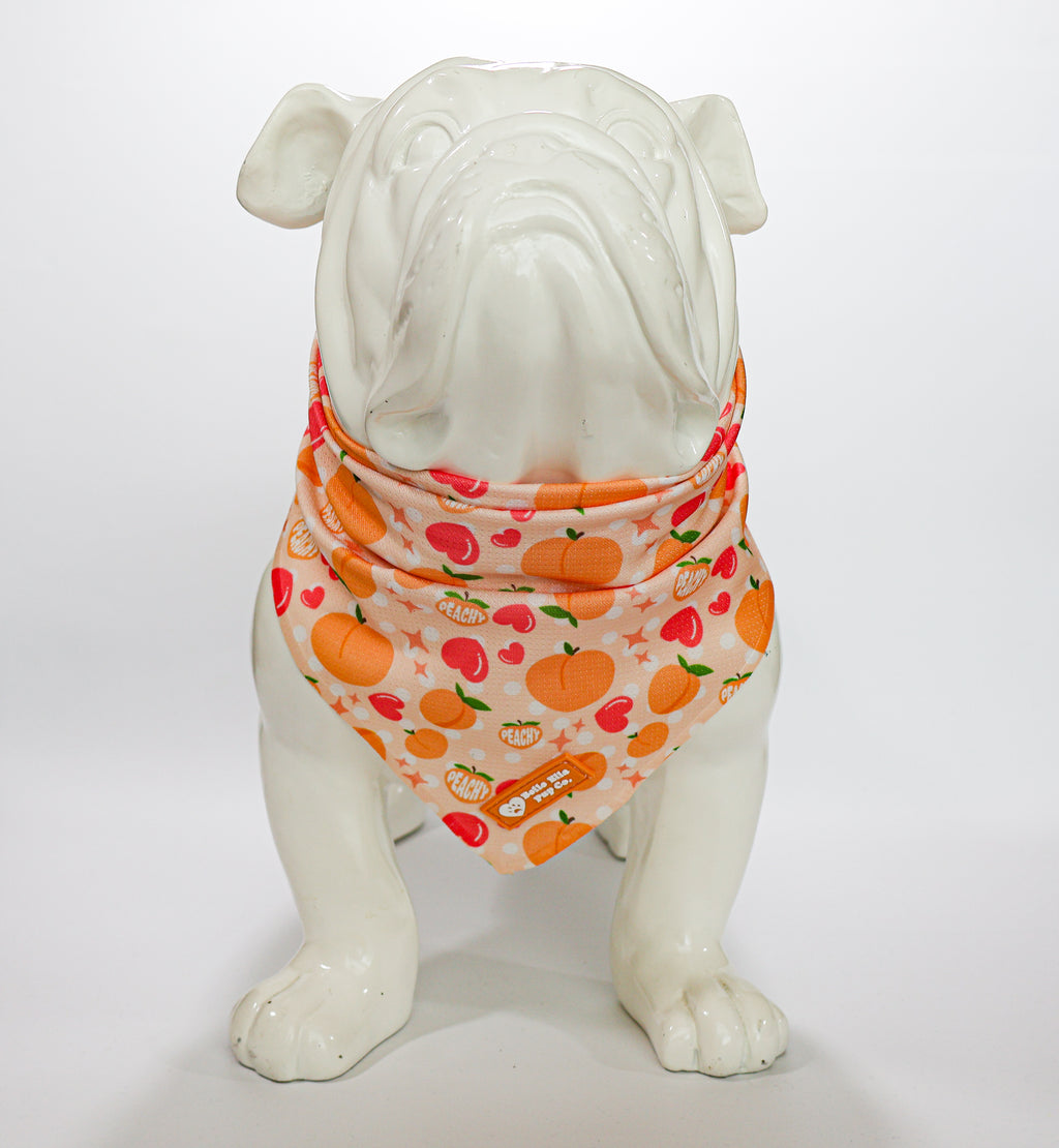 Cool Down Bandanas - Peach