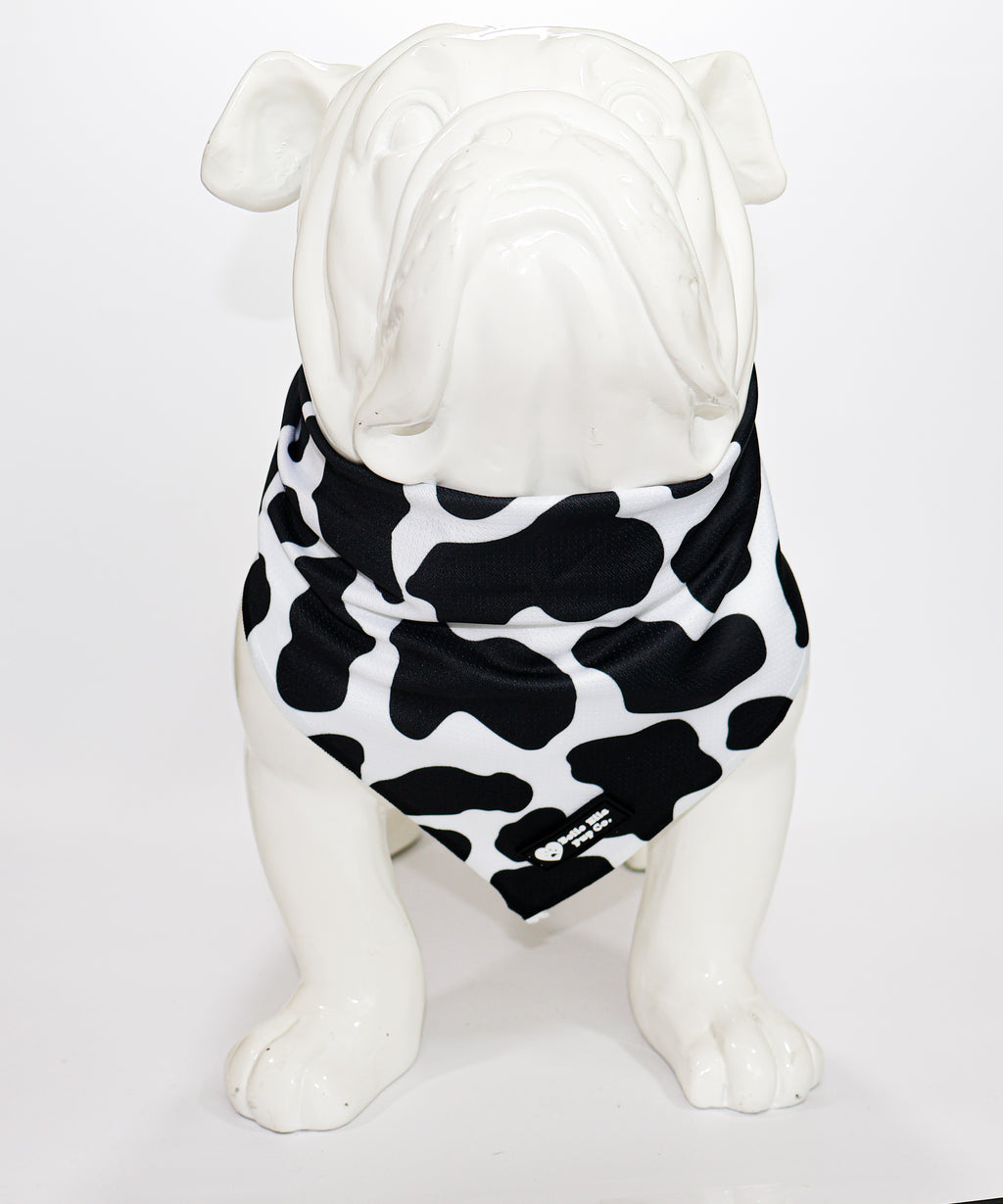 Cool Down Bandanas - Cow
