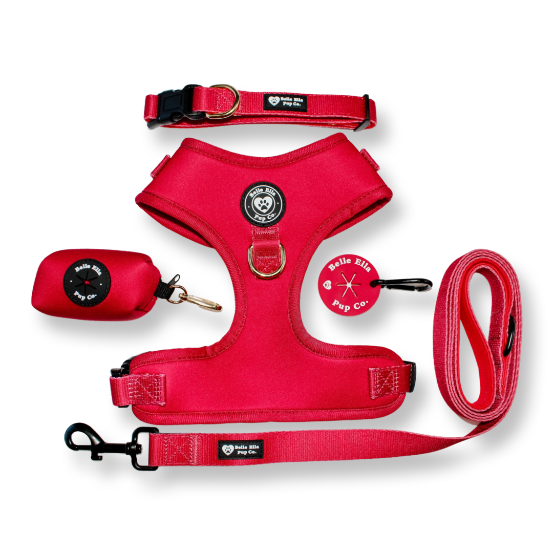 5 pcs. Harness Set - Red