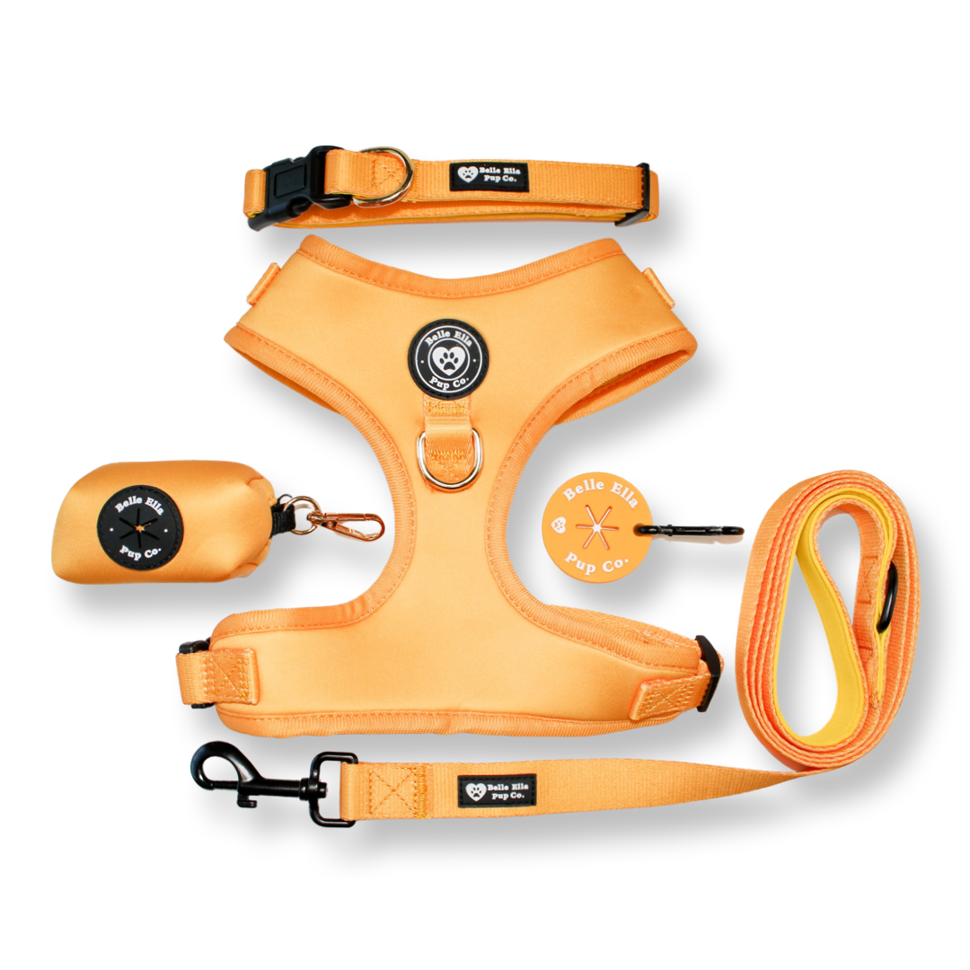 5 pcs. Harness Set - Burnt Orange