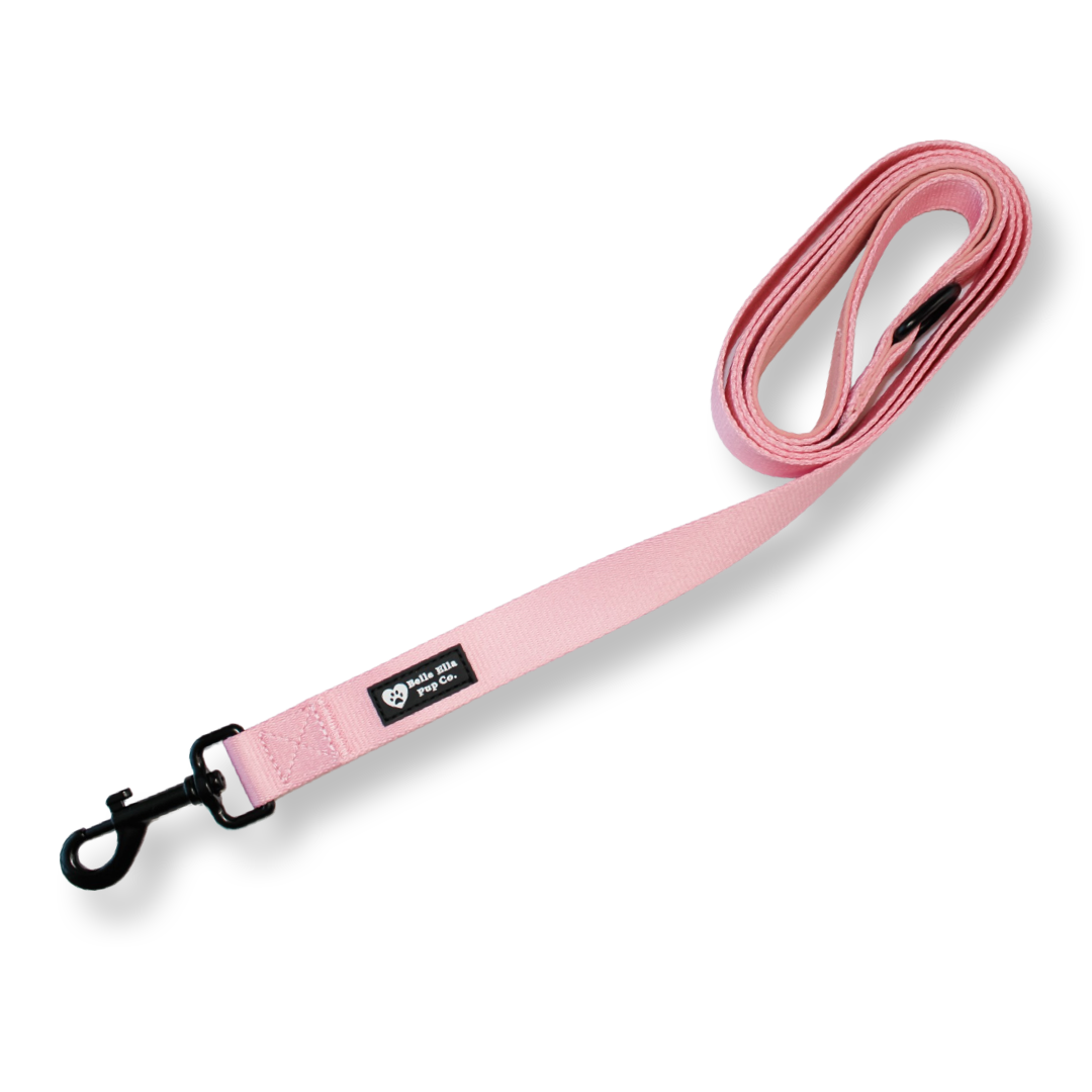 Regular Stand Leash - Pink