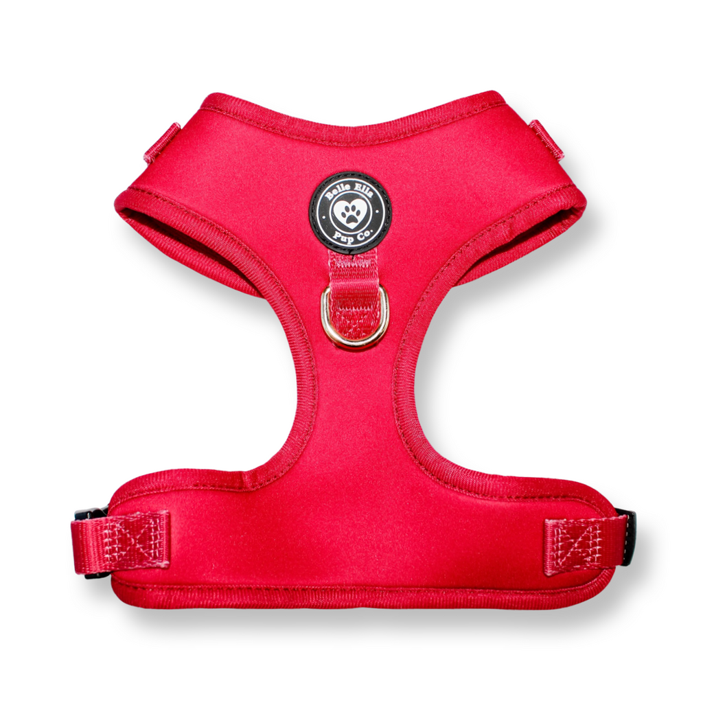 Harness - Red