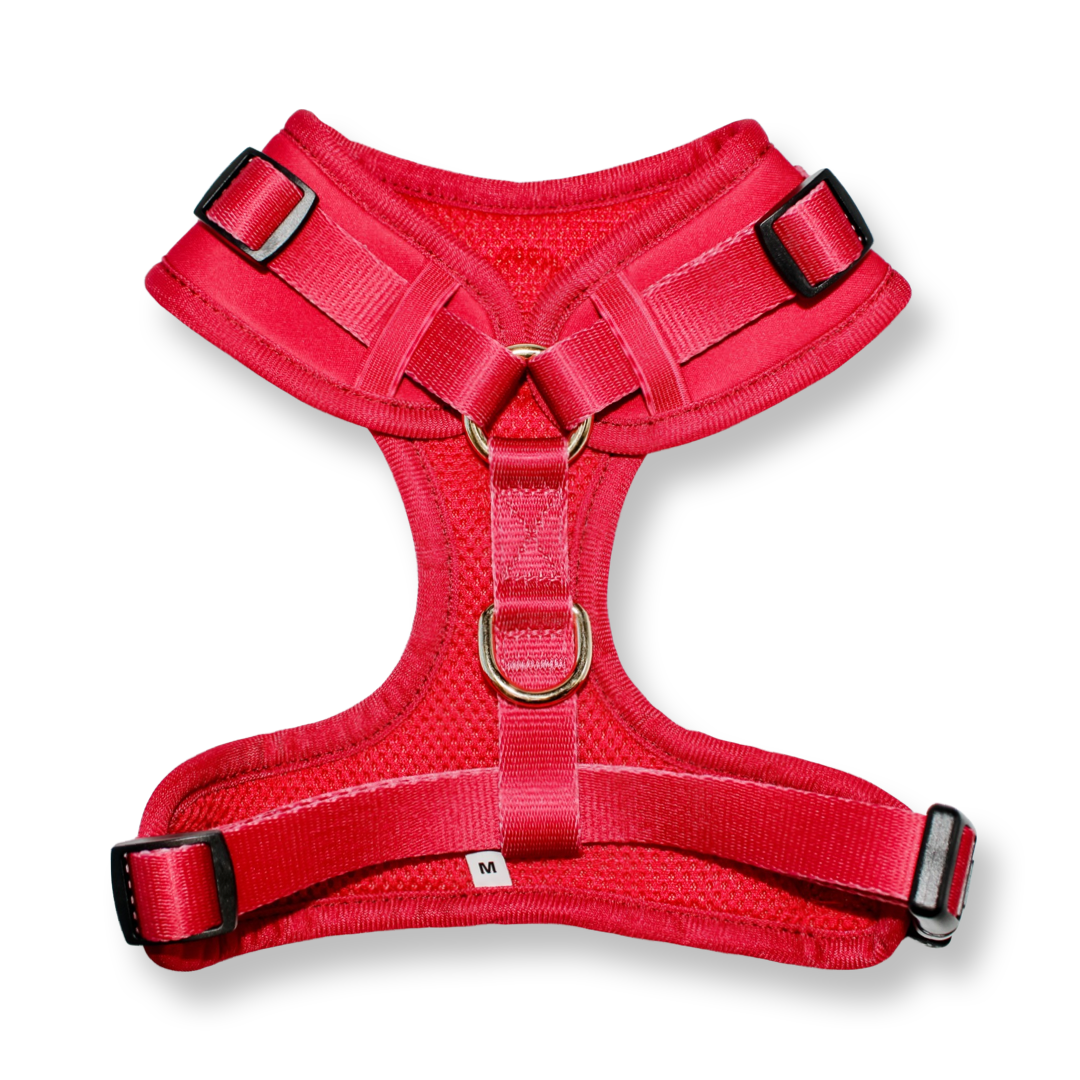 Harness - Red