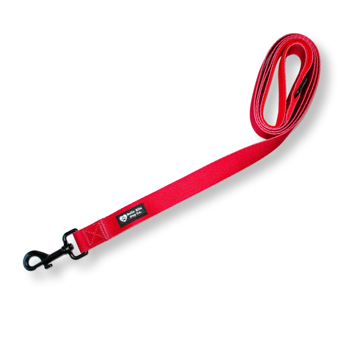 Regular Stand Leash - Red
