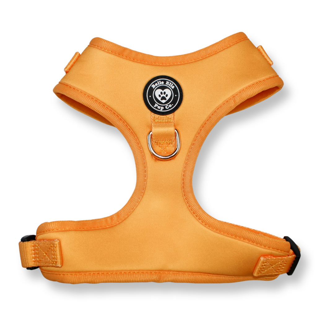 Harness - Burnt Orange