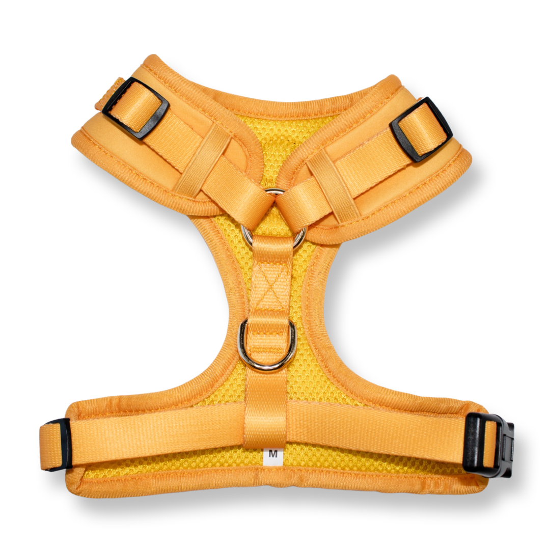 Harness - Burnt Orange