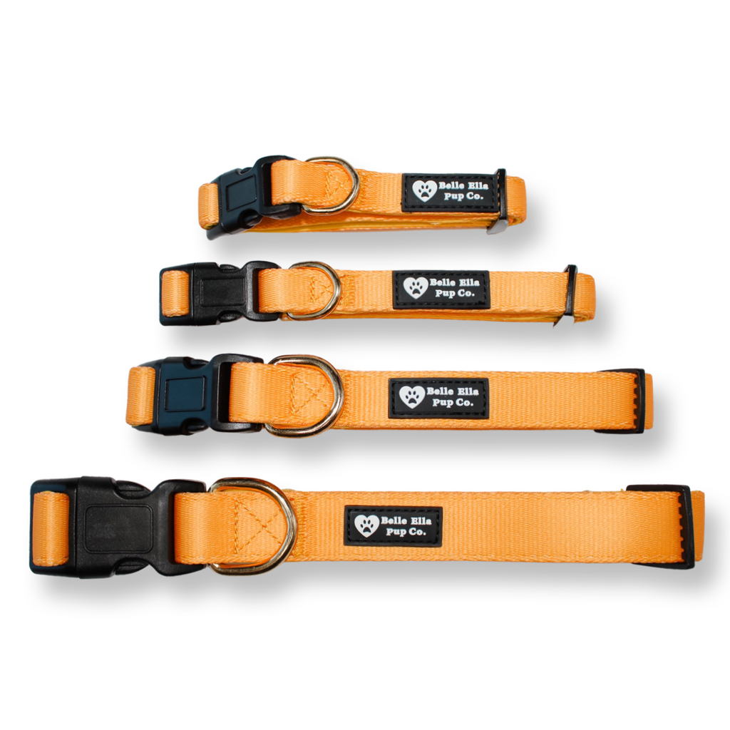 Collar - Burnt Orange