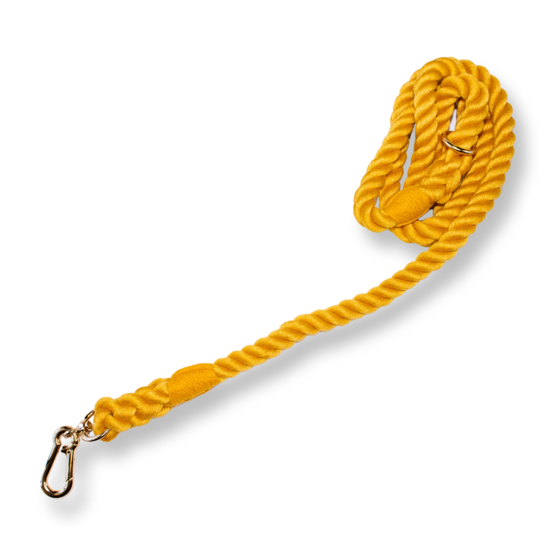 Rope Leash - Burnt Orange