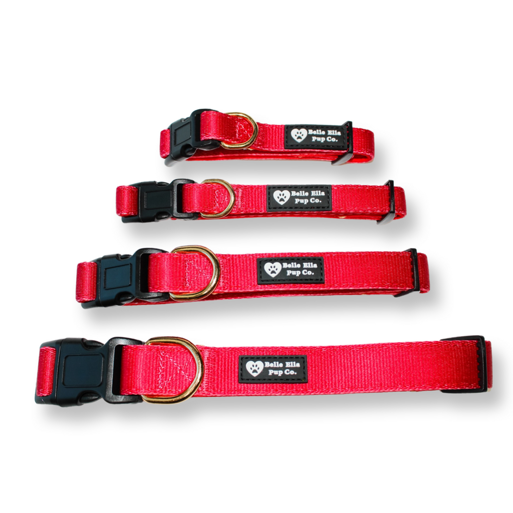 Collar - Red