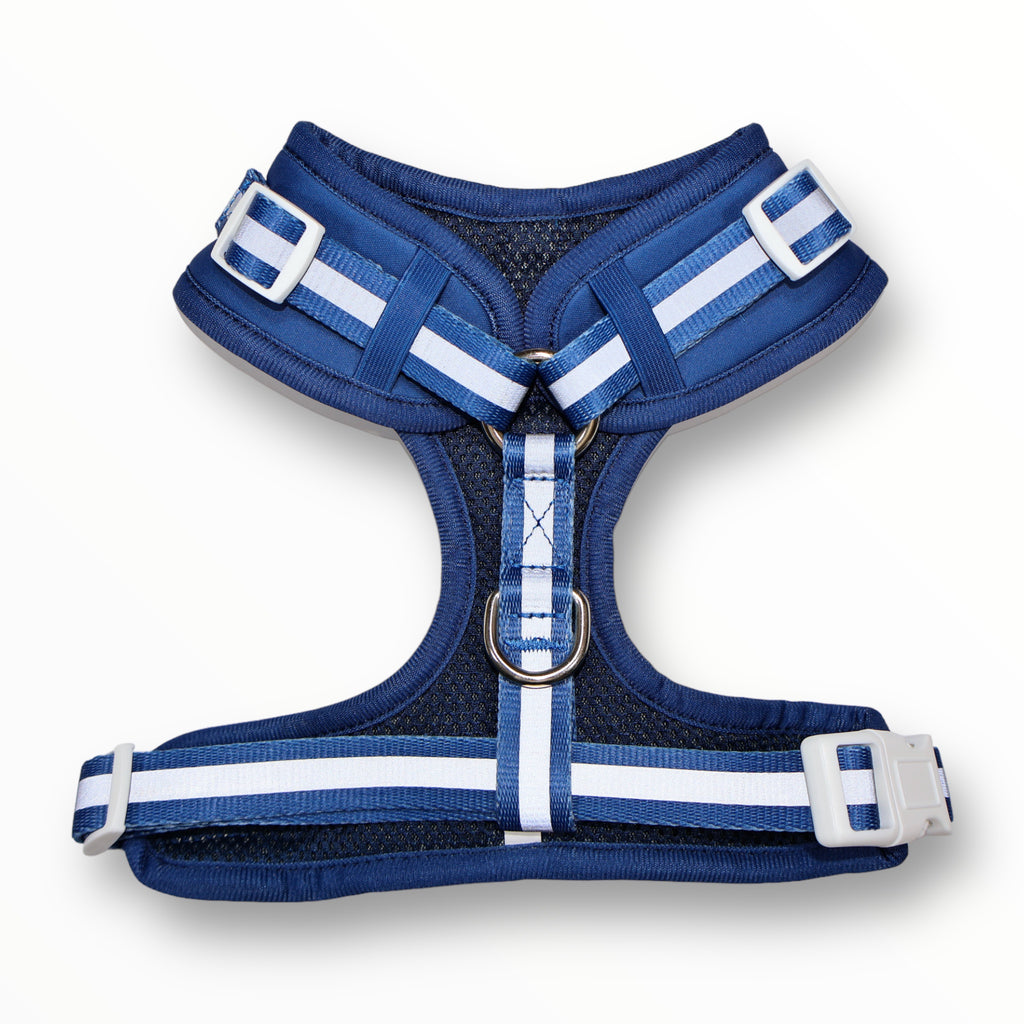 Harness - Navy Blue